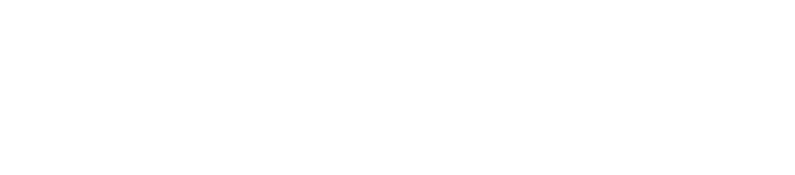 Andina Textil México